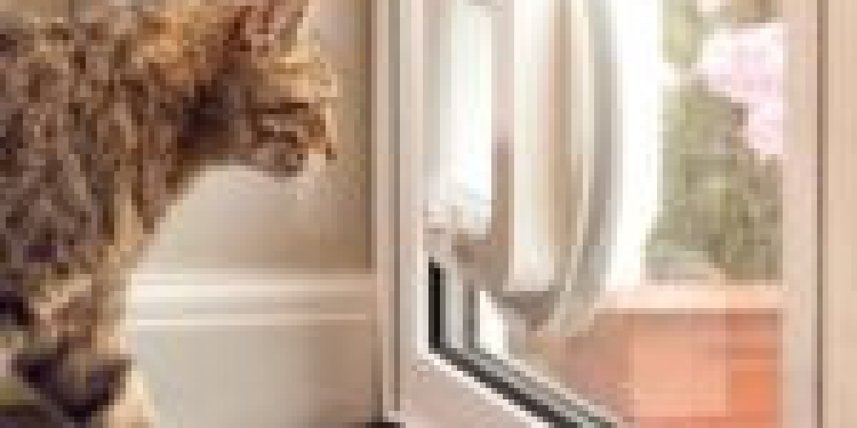 15 Astonishing Facts About Best Cat Flap Installer