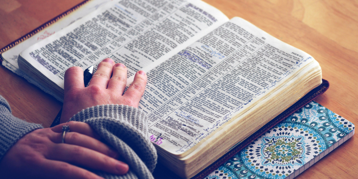 How do I properly reference using APA or MLA styles for NZ assignments?