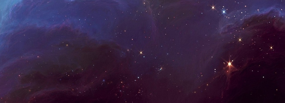 Бонусы Cover Image